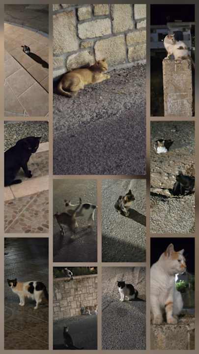 Sonstiges Lindos Princess Beach Resort & Spa