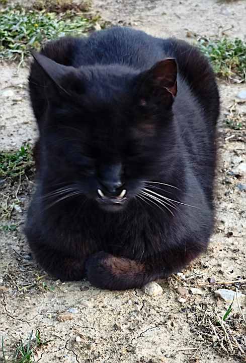 Sonstiges Adalya Ocean Deluxe