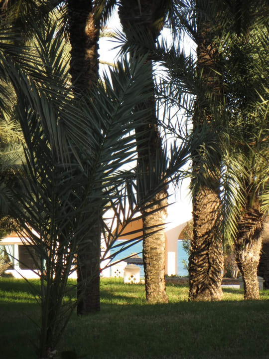 Gartenanlage mit Blick zum Meer Zita Beach Resort