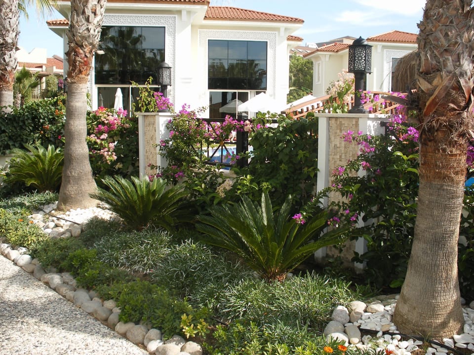 Poolvillen Paloma Oceana