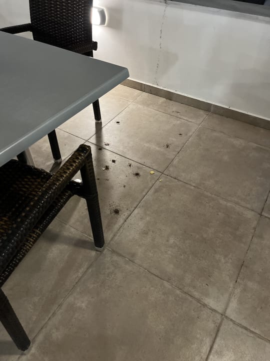 Gastro Hotel Sun Palace