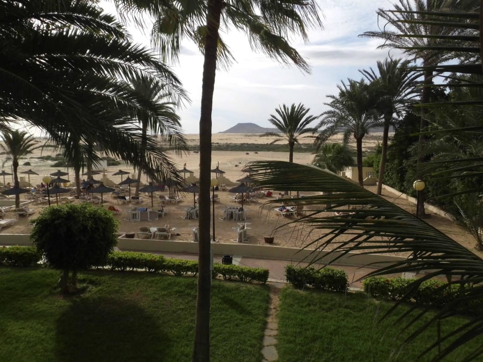 Blick Richtung Dünen Hotel Riu Oliva Beach - Hotel