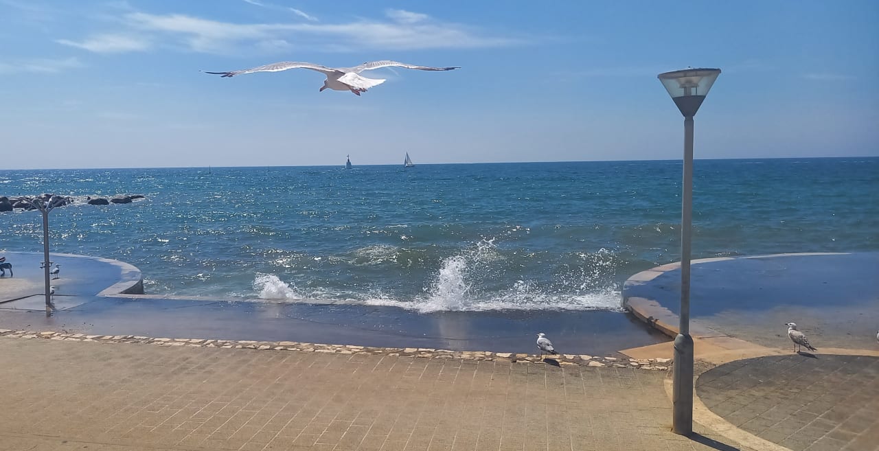 Strand Hotel Sipar Plava Laguna