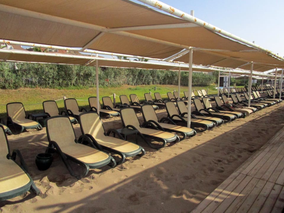 Die Liegen Sherwood Dreams Resort