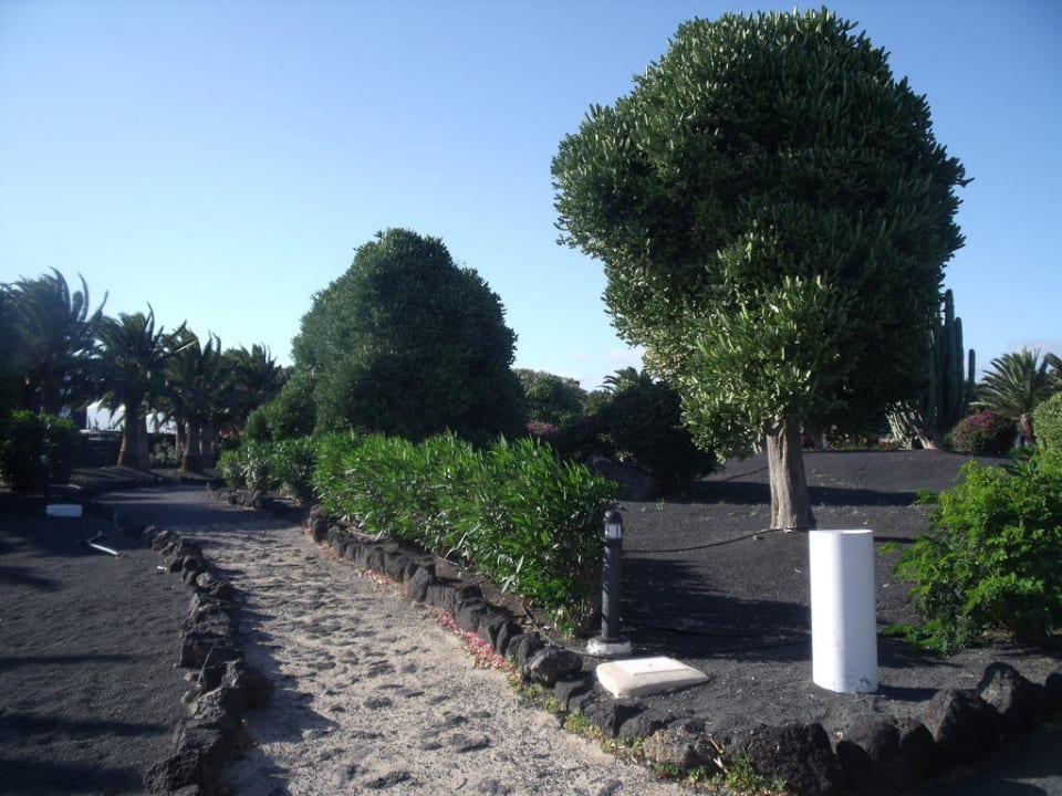 Hotelanlage Relaxia Olivina