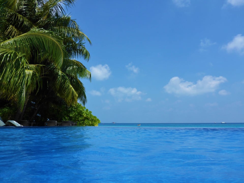 Infinity Pool Kuramathi Maldives