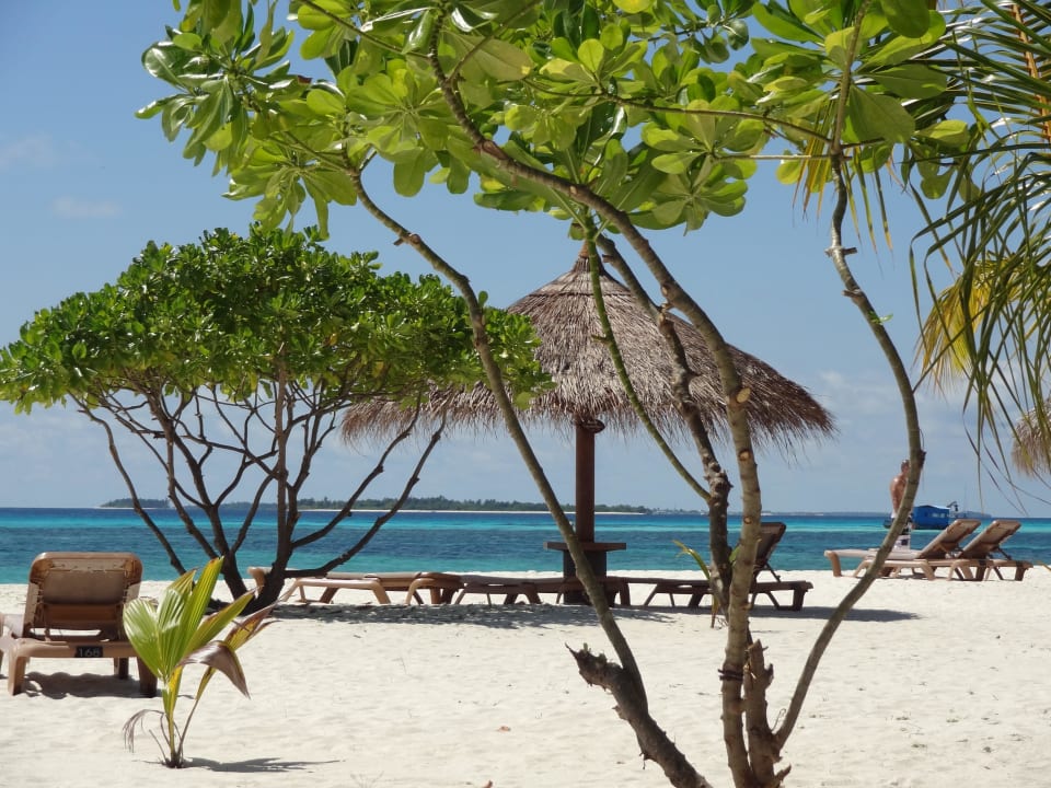 Ausblick vom Bungi (JBV) Kuredu Island Resort & Spa