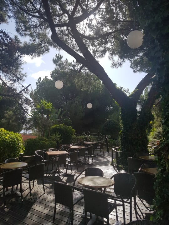 Gastro PortoBay Falésia