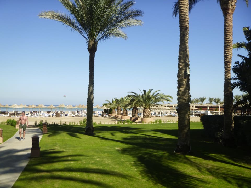 Garten Stella Garden Resort & Spa, Makadi Bay