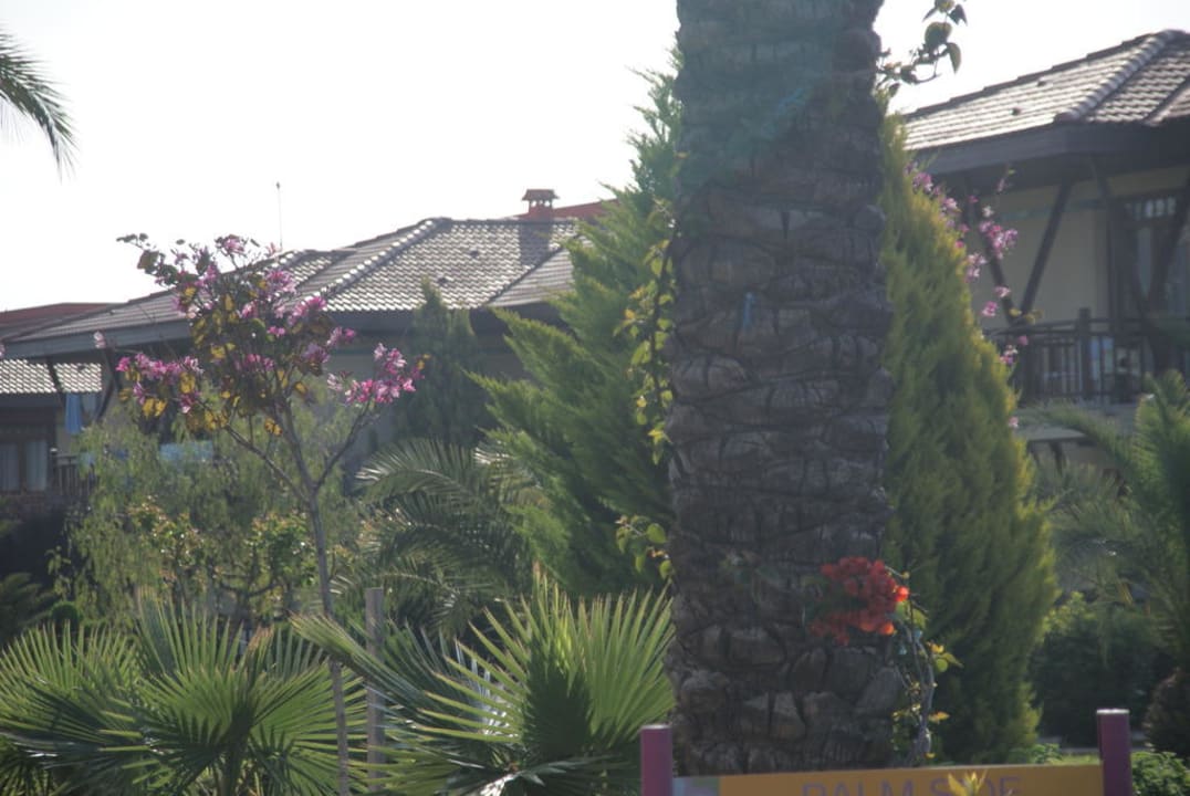 Ogrod TUI KIDS CLUB Felicia Village