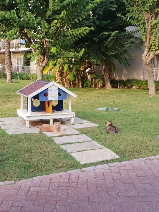 Gartenanlage Sunis Elita Beach Resort & Spa