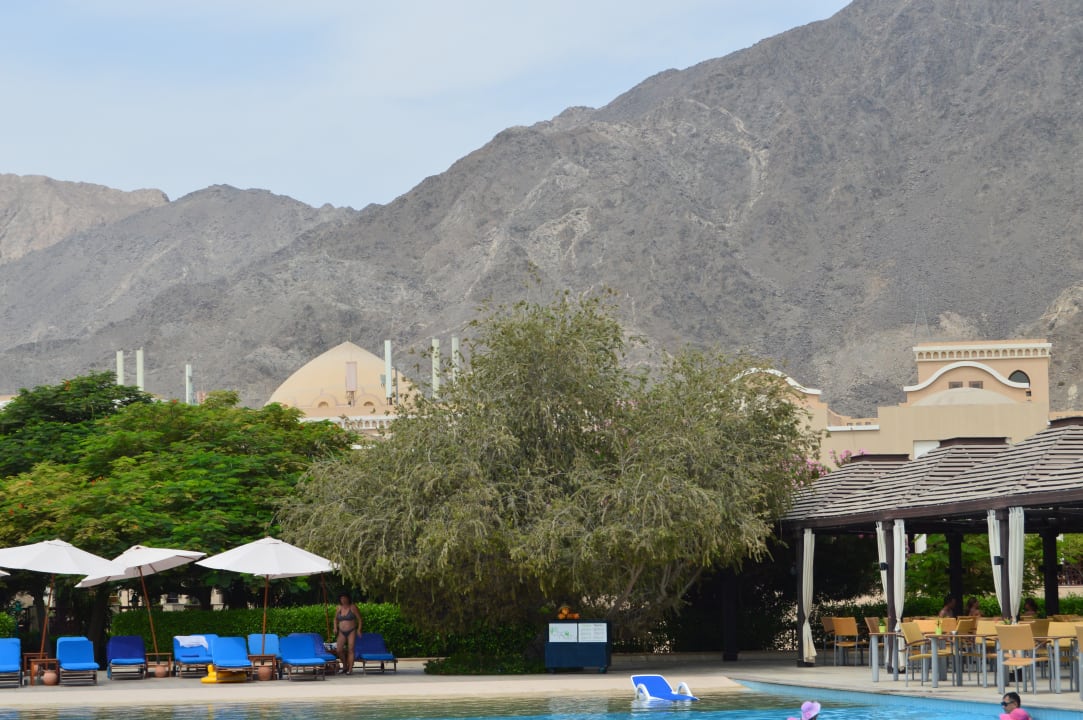 Ausblick Miramar Al Aqah Beach Resort