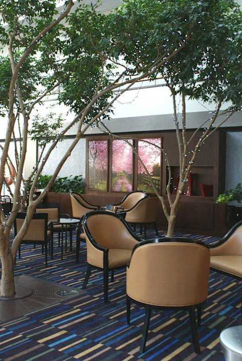 Bar Hotel Hyatt Regency Buffalo