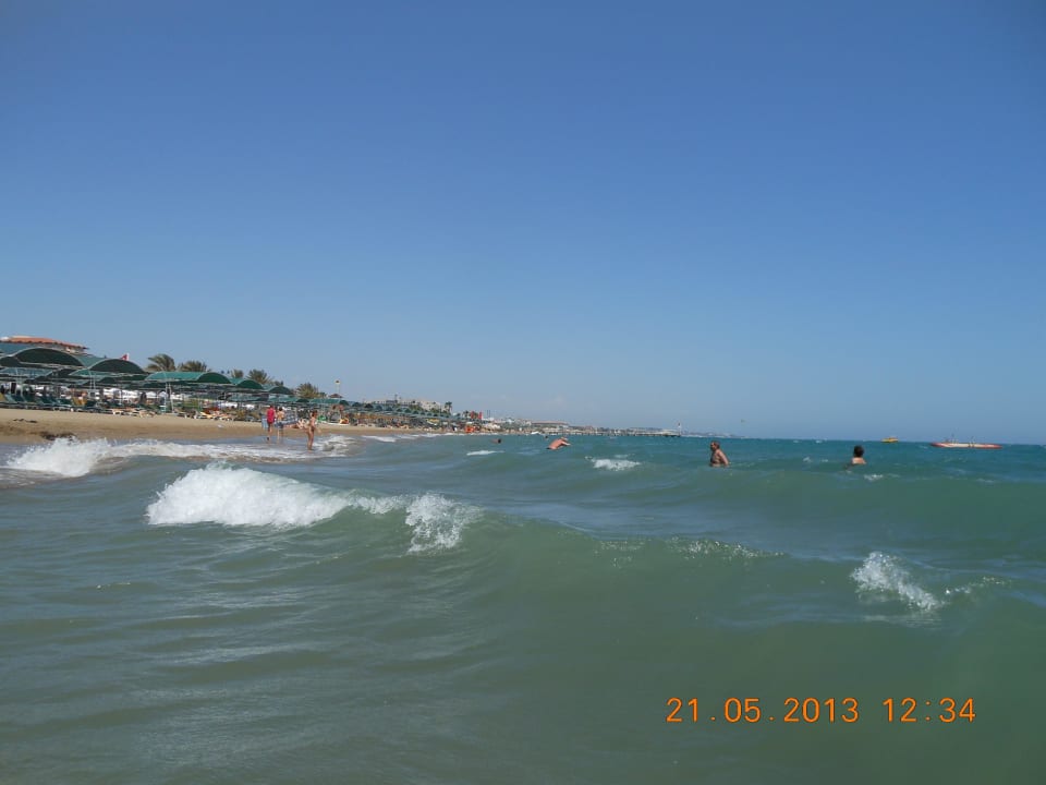 Darf es etwas Meer sein Papillon Belvil