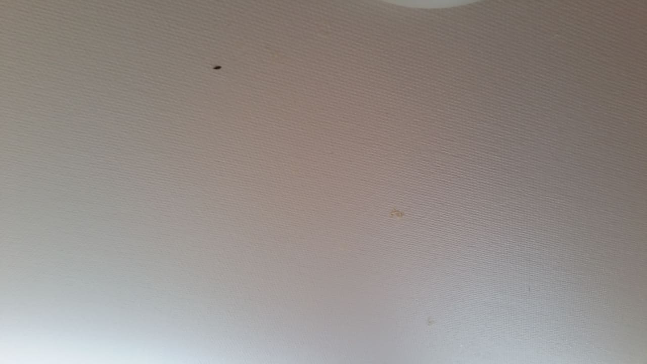 Zimmer Heide Park Holiday Camp