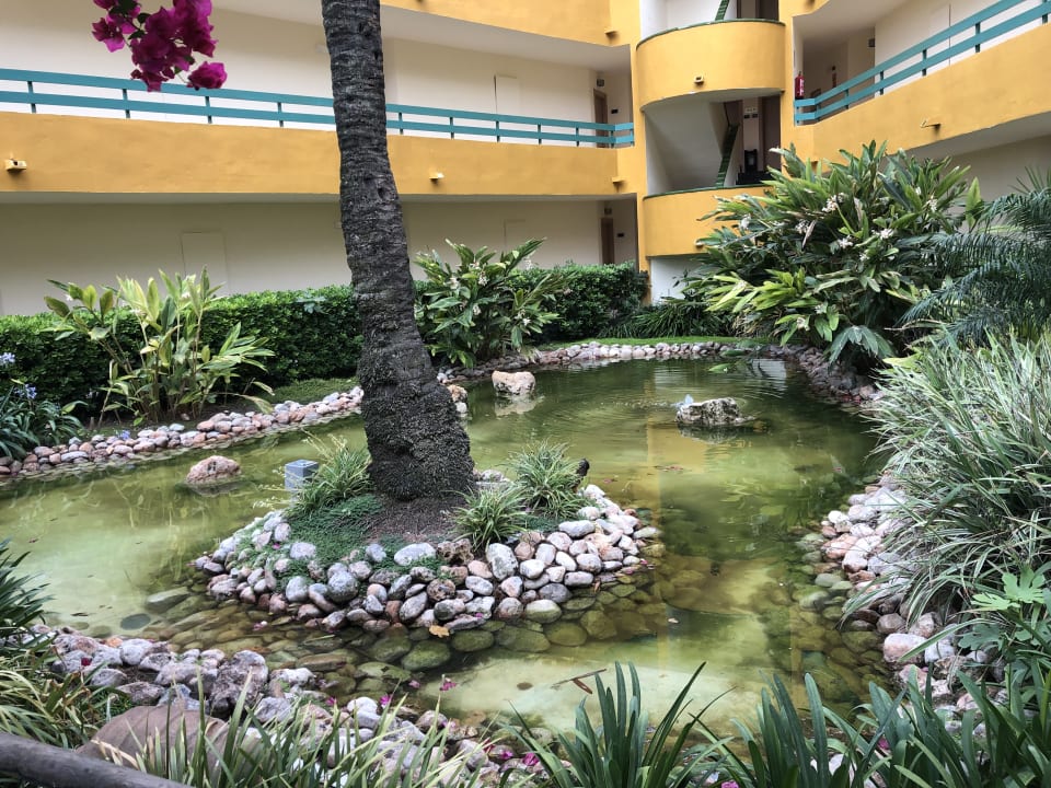 Gartenanlage Zafiro Tropic