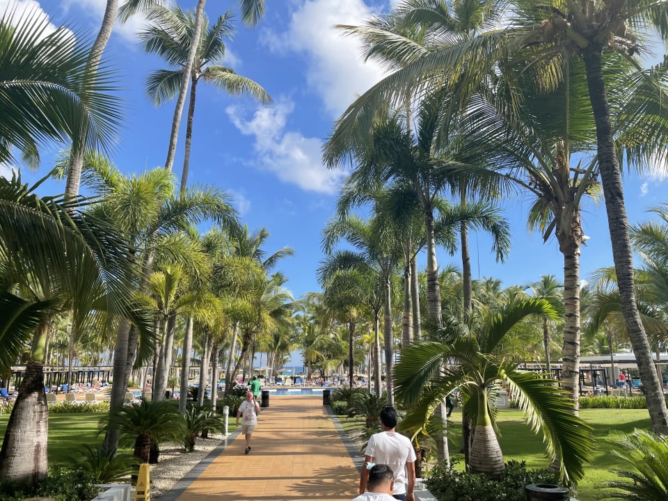 Gartenanlage Hotel Riu Palace Macao - Adults only