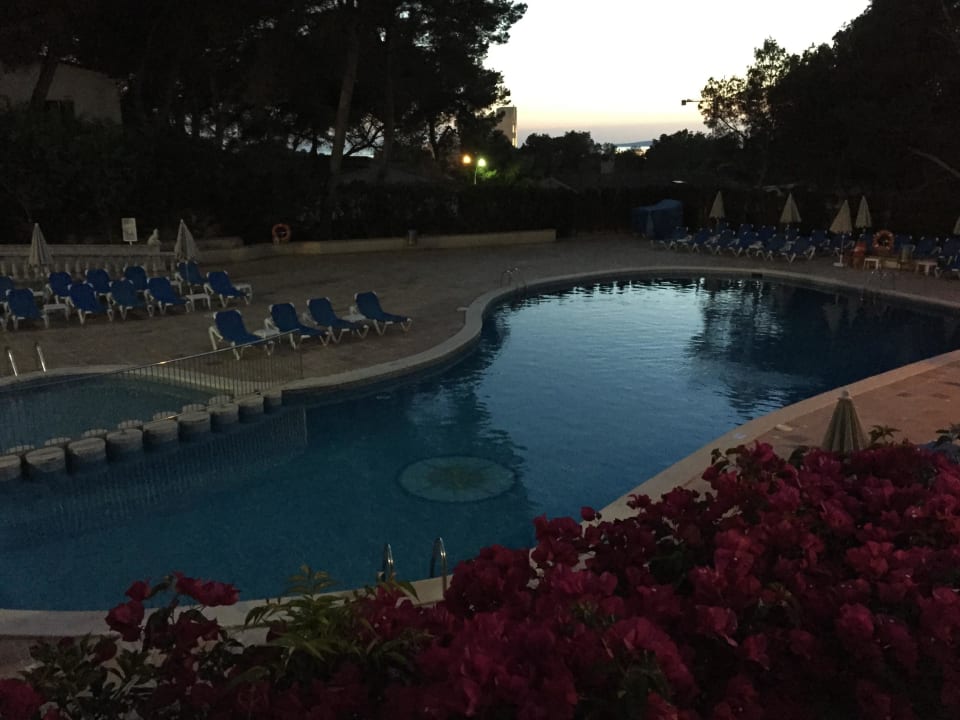 Pool am Abend Grupotel Orient