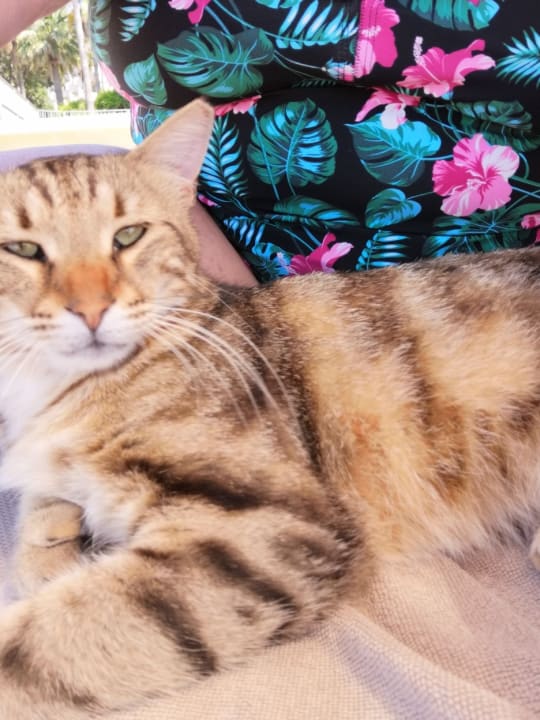 Strand Melas Resort Hotel