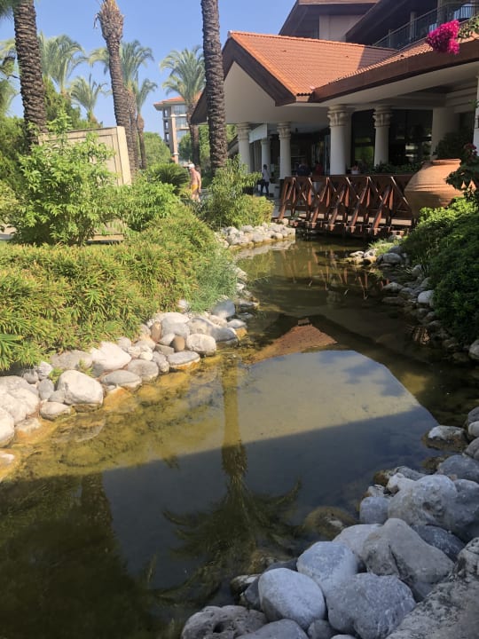 Gartenanlage IC Hotels Green Palace