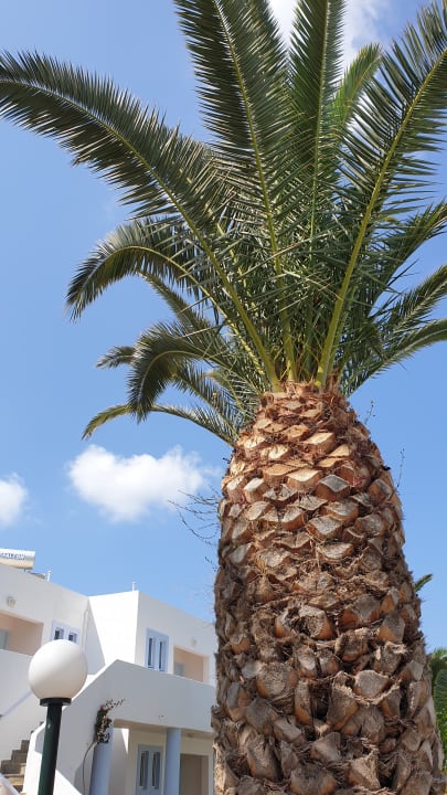 Außenansicht Kalimera Mare
