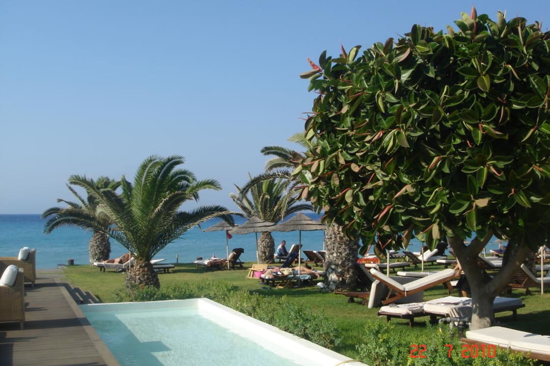 Ogrod od strony morza The Ixian Grand & All Suites