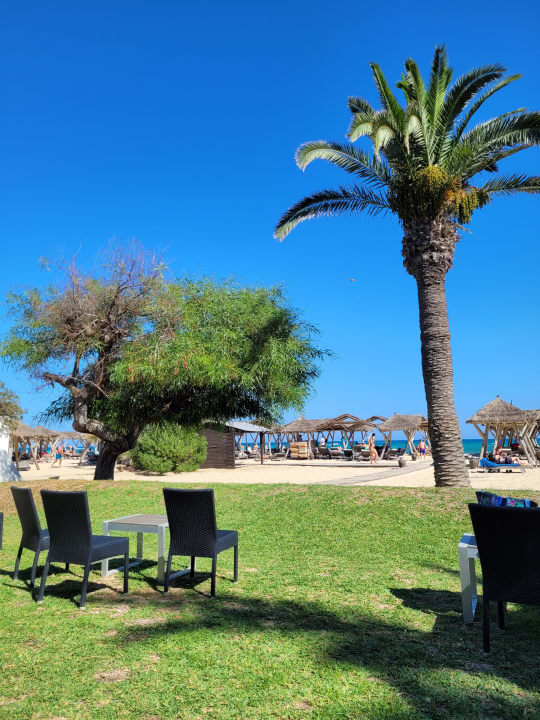 Gartenanlage The Orangers Beach Resort and Bungalows