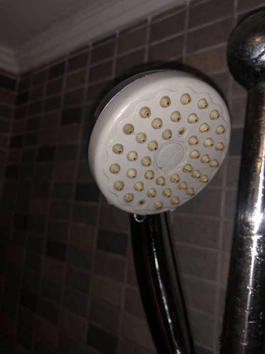 Zimmer Hotel Pine Bay Holiday Resort