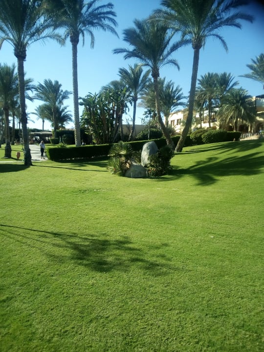 Gartenanlage Steigenberger Coraya Beach - Adults only