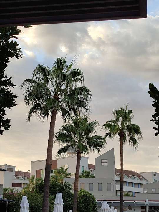 Gartenanlage Barut B Suites