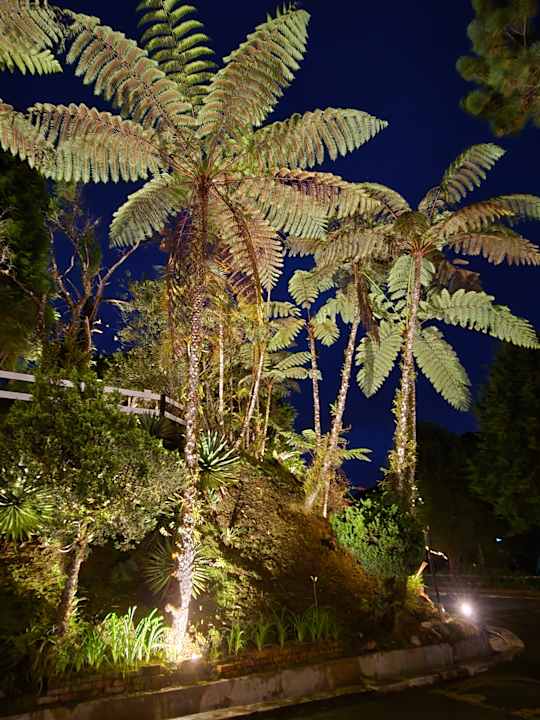 Gartenanlage Hotel Strawberry Park Resort