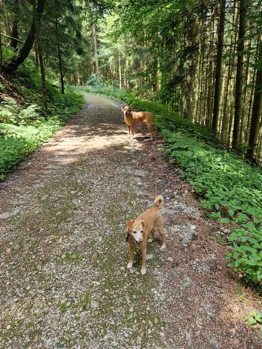 Sonstiges Aldiana Club Ampflwang