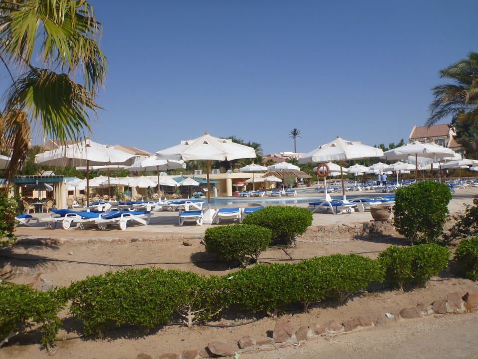 Poolanlage Mövenpick Resort & Spa El Gouna
