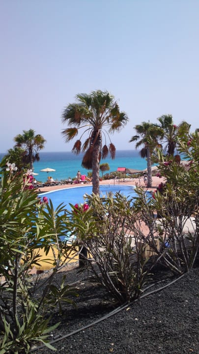 Blick auf das Meer H10 Tindaya