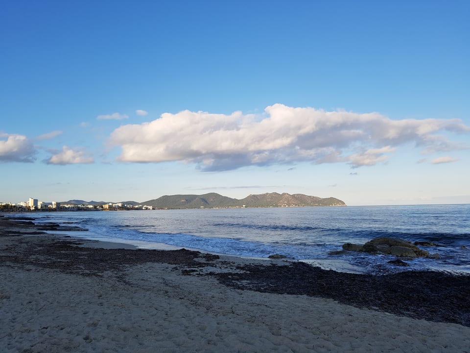 Strand Hipotels Hipocampo Playa