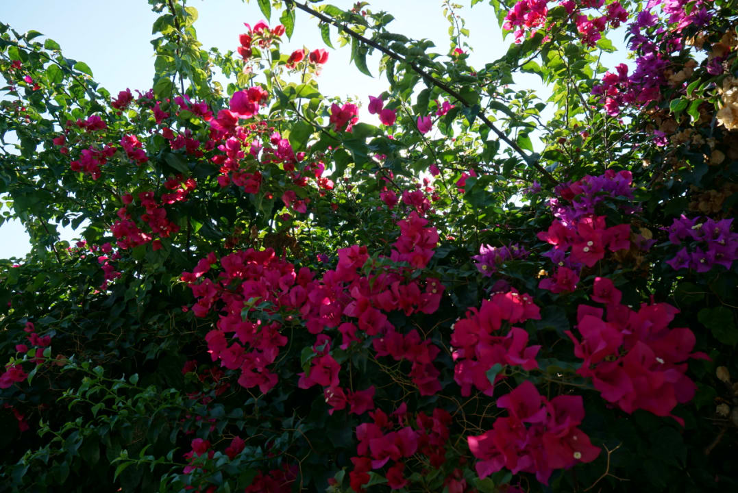 Außenansicht Hotel Stella Bay