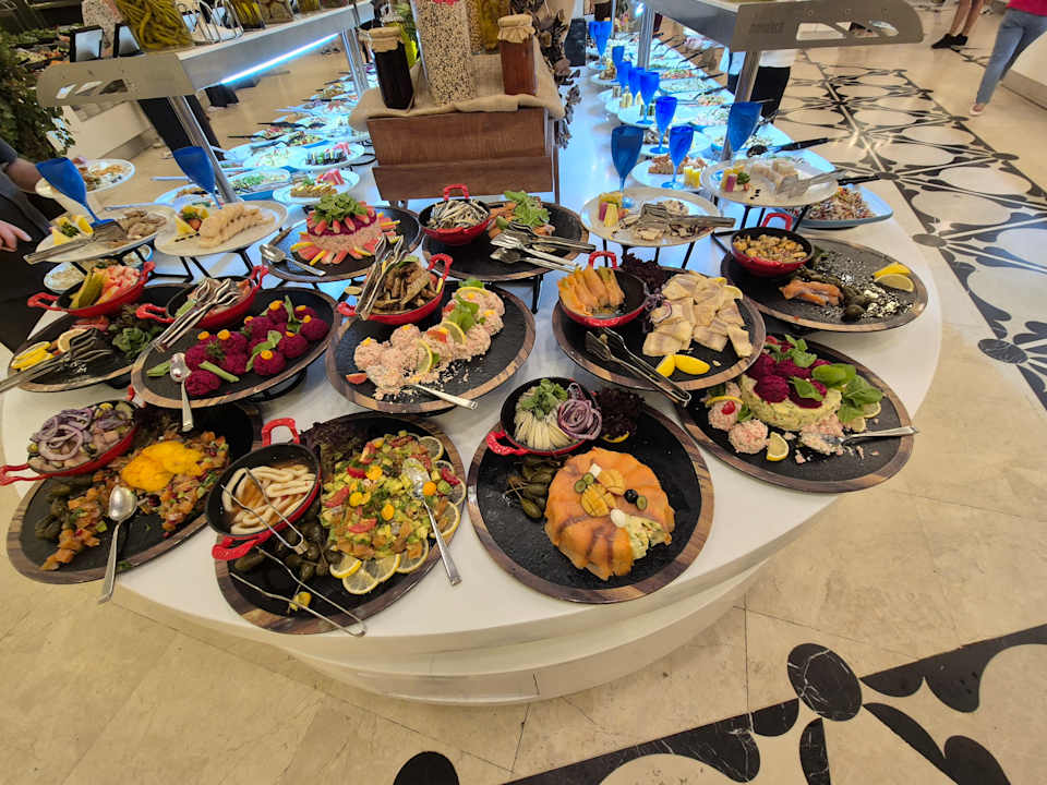 Gastro Adalya Elite Lara