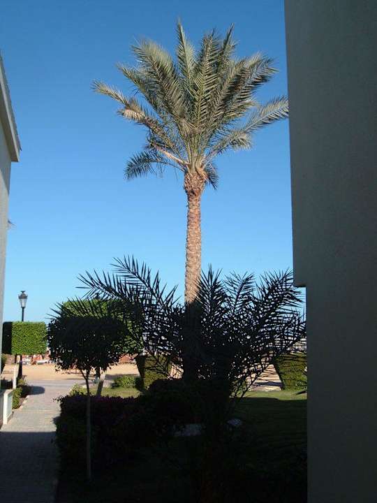 Alles gepflegt. Pickalbatros Dana Beach Resort - Hurghada