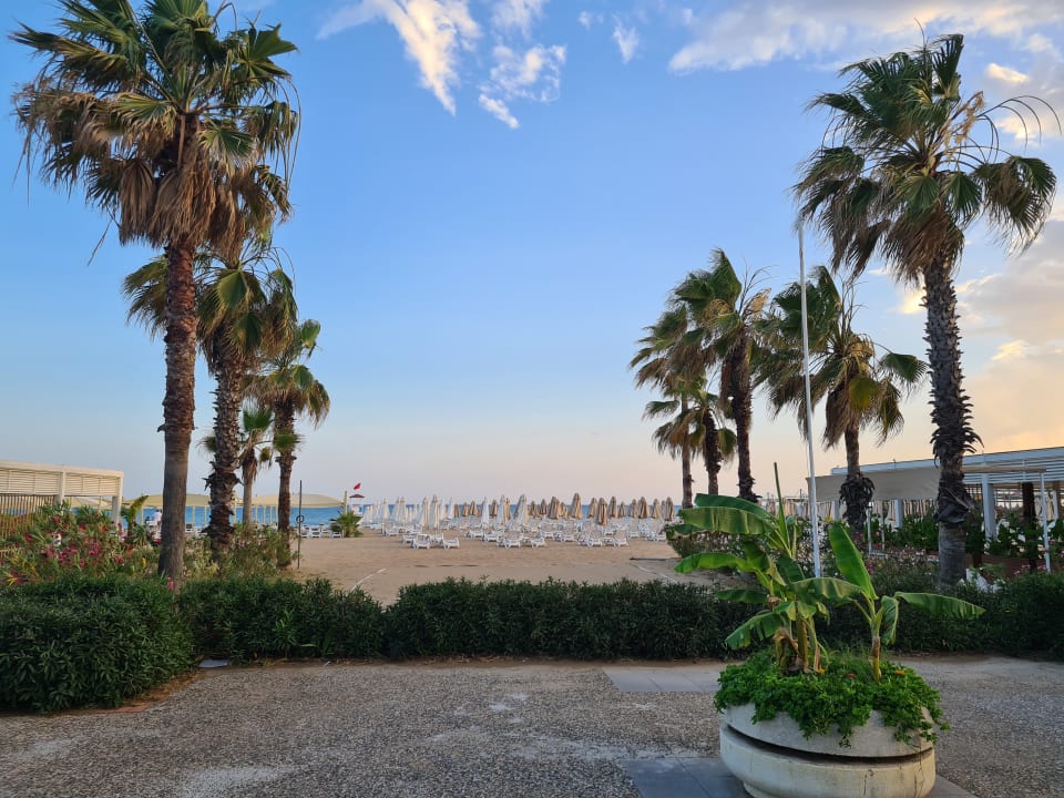 Strand TUI BLUE Xanthe