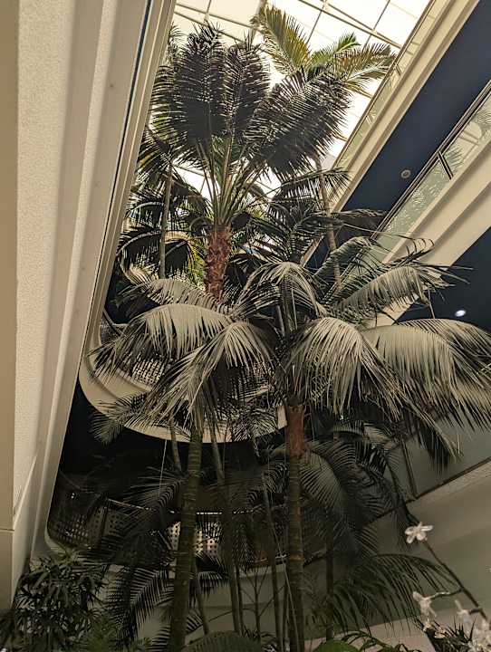 Sonstiges IFA Altamarena by Lopesan Hotels