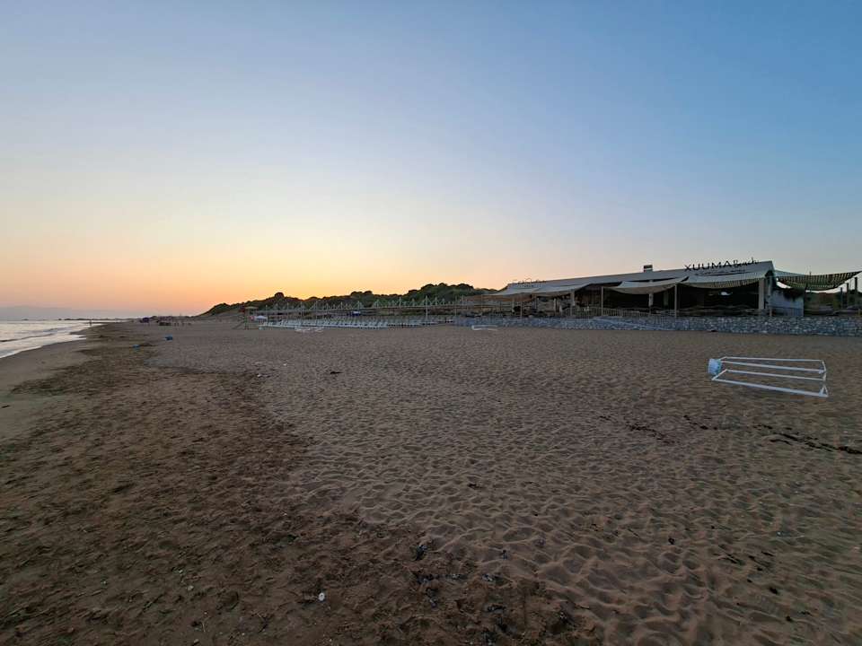 Strand Seashell Vega