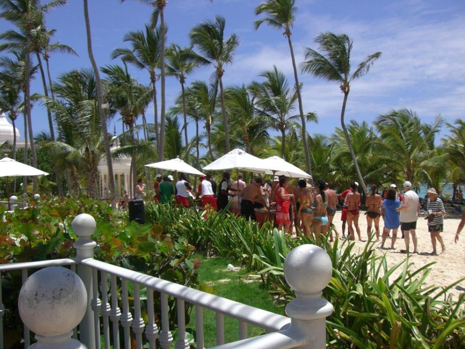 Coconutparty Hotel Riu Palace Punta Cana