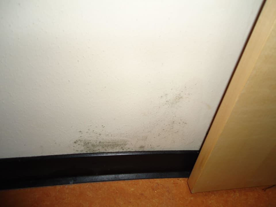 Schimmel Hotel Carpe Diem