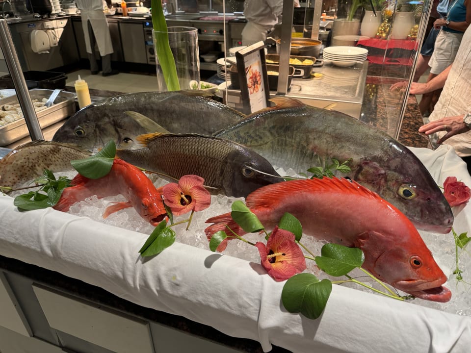 Gastro ROBINSON NOONU