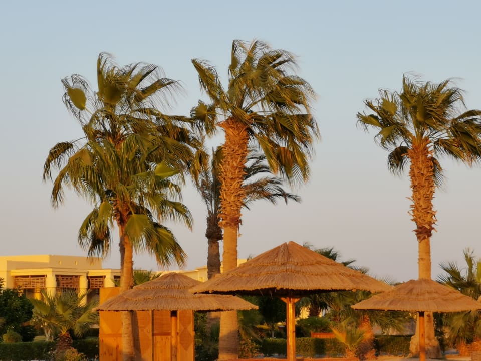 Strand Hotel Sheraton Soma Bay Resort