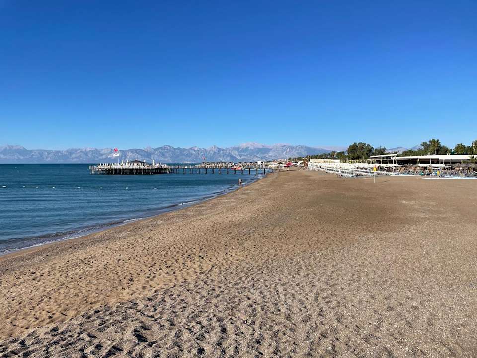 Strand Delphin BE Grand