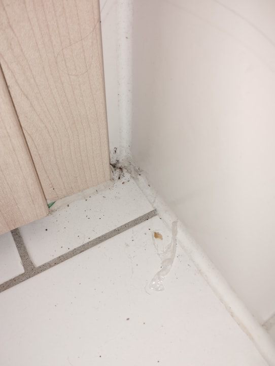 Zimmer Ferienwohnungen Ferienpark Weissenhäuser Strand