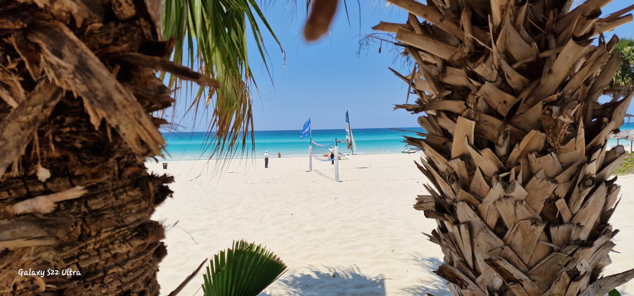 Strand Starfish Cuatro Palmas