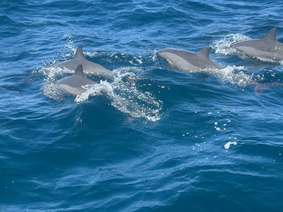 Sport & Freizeit Adaaran Select Meedhupparu Island Resort - Premium All Inclusive