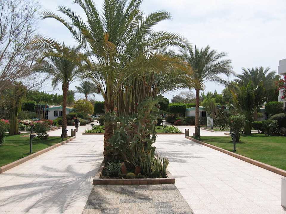 Garten des Ghazala Beach Ghazala Beach